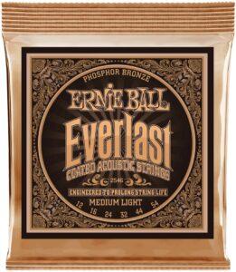 Ernie Ball Everlast Phosphor Bronze Medium Light