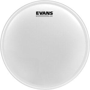 Evans 22" UV1